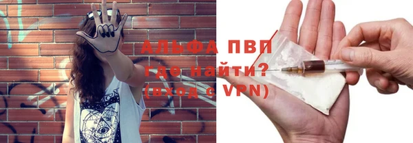 прущие грибы Бугульма