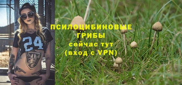 прущие грибы Бугульма