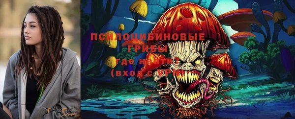 герыч Бронницы
