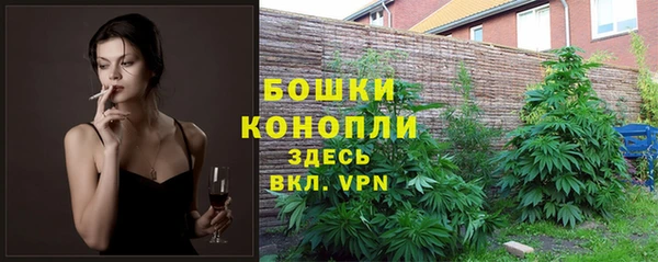 прущие грибы Осинники