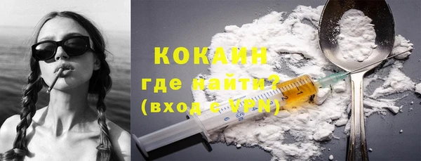 прущие грибы Бугульма